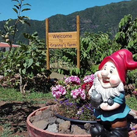 Granny'S Farm Guest House Sao Vicente  Exterior photo