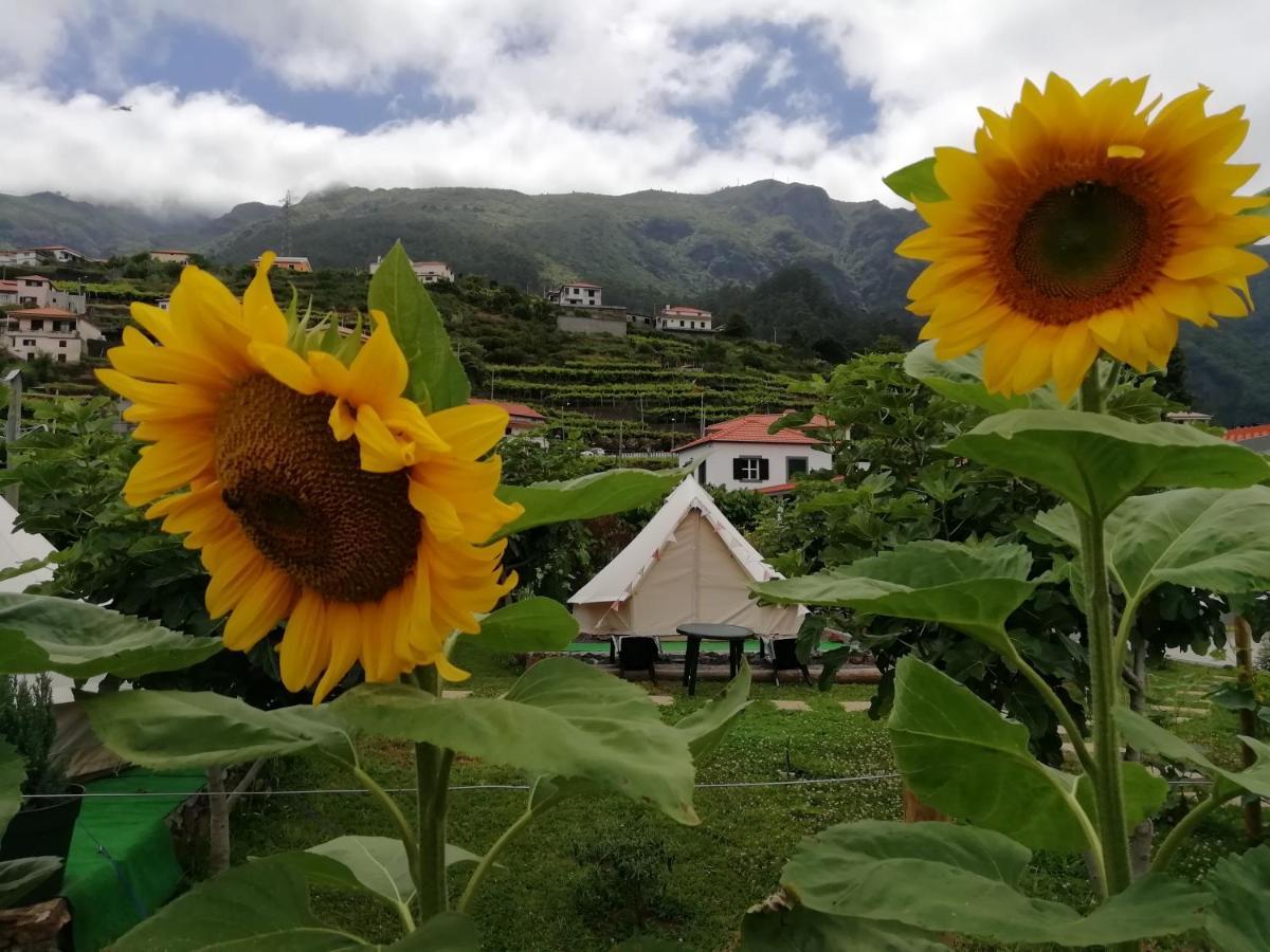 Granny'S Farm Guest House Sao Vicente  Exterior photo