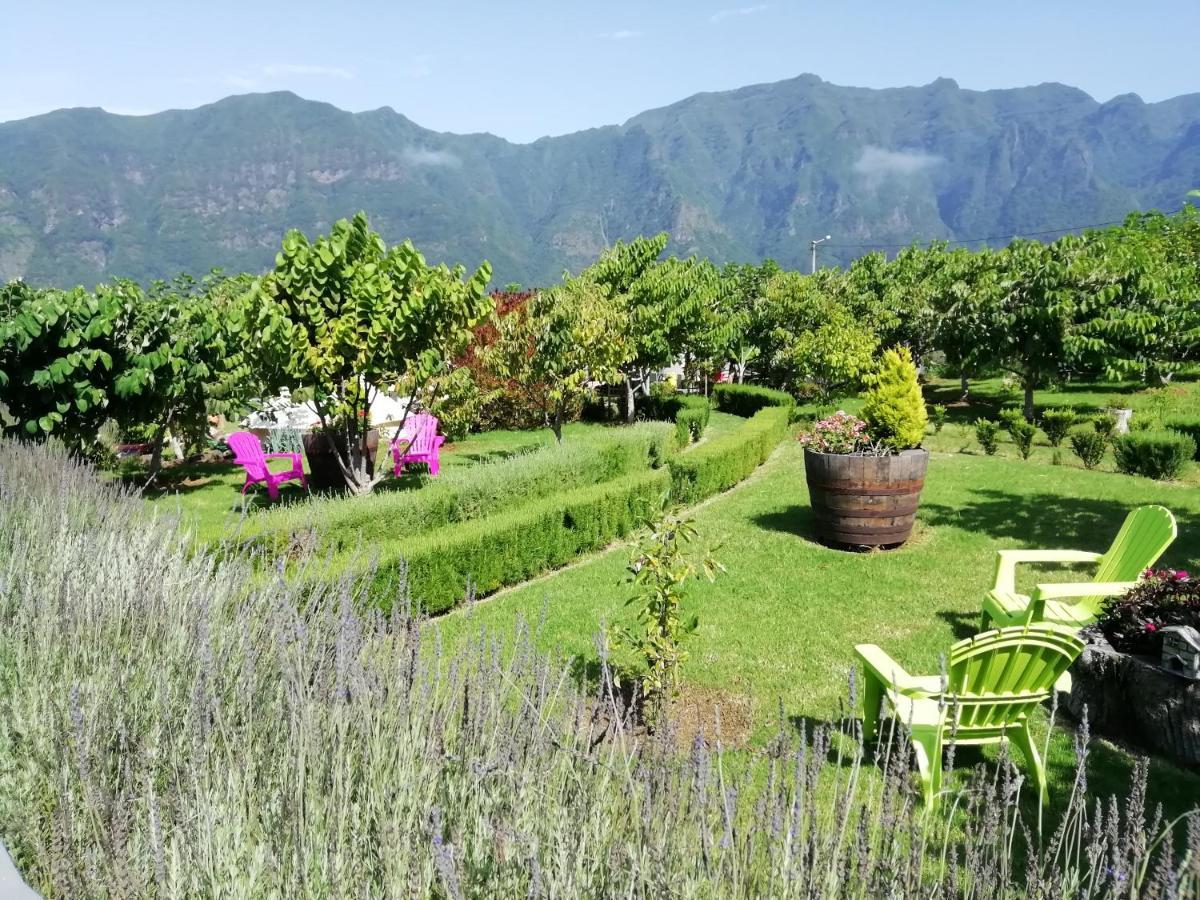 Granny'S Farm Guest House Sao Vicente  Exterior photo