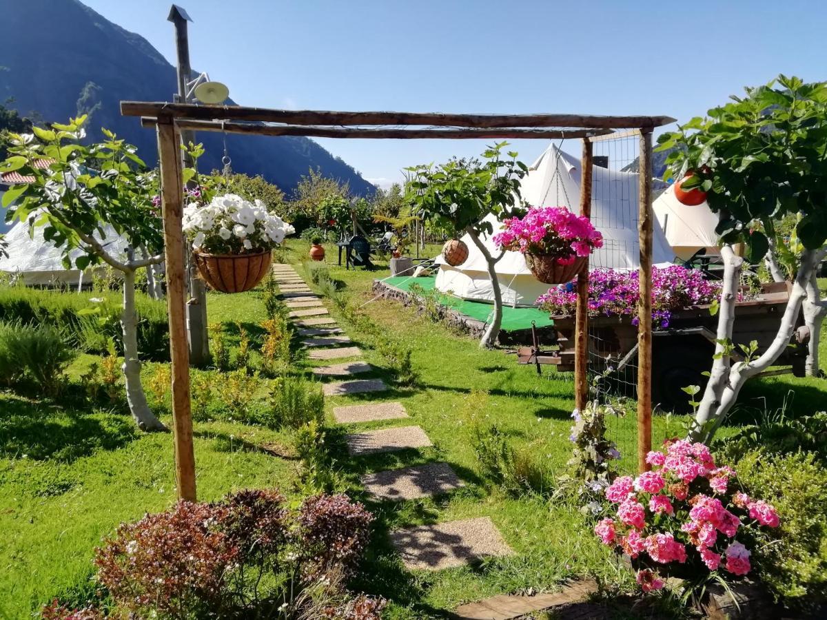 Granny'S Farm Guest House Sao Vicente  Exterior photo