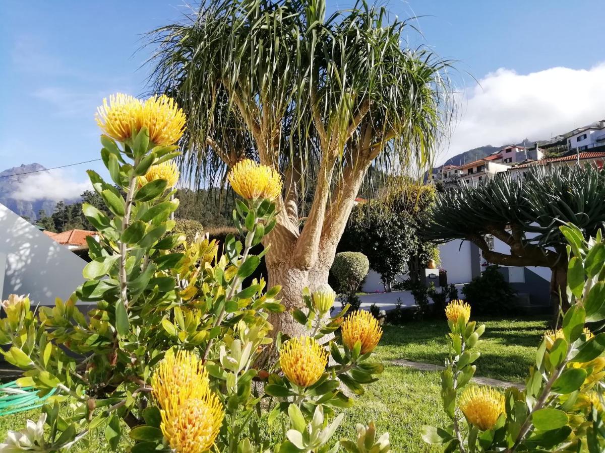 Granny'S Farm Guest House Sao Vicente  Exterior photo