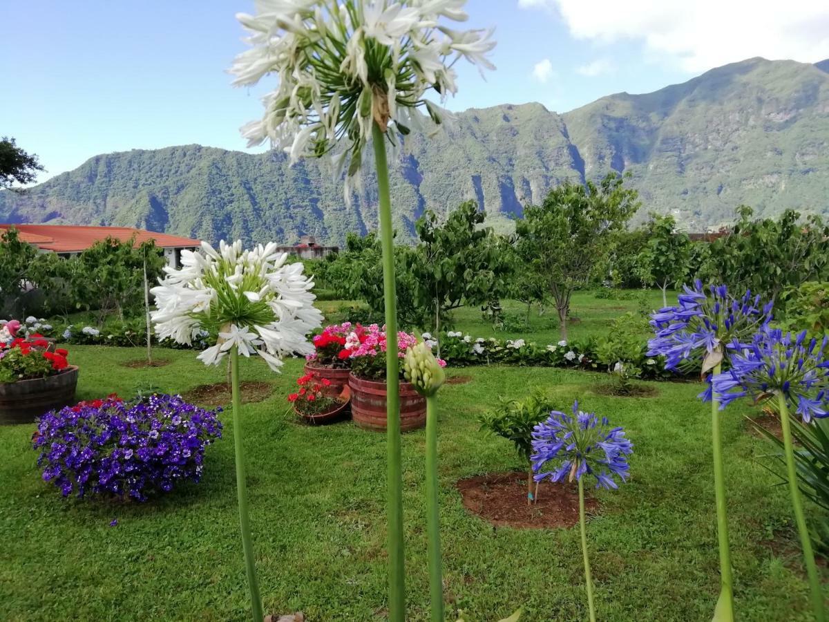 Granny'S Farm Guest House Sao Vicente  Exterior photo