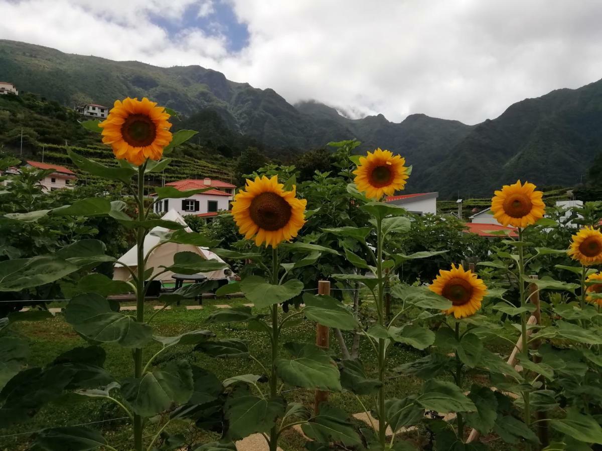 Granny'S Farm Guest House Sao Vicente  Exterior photo