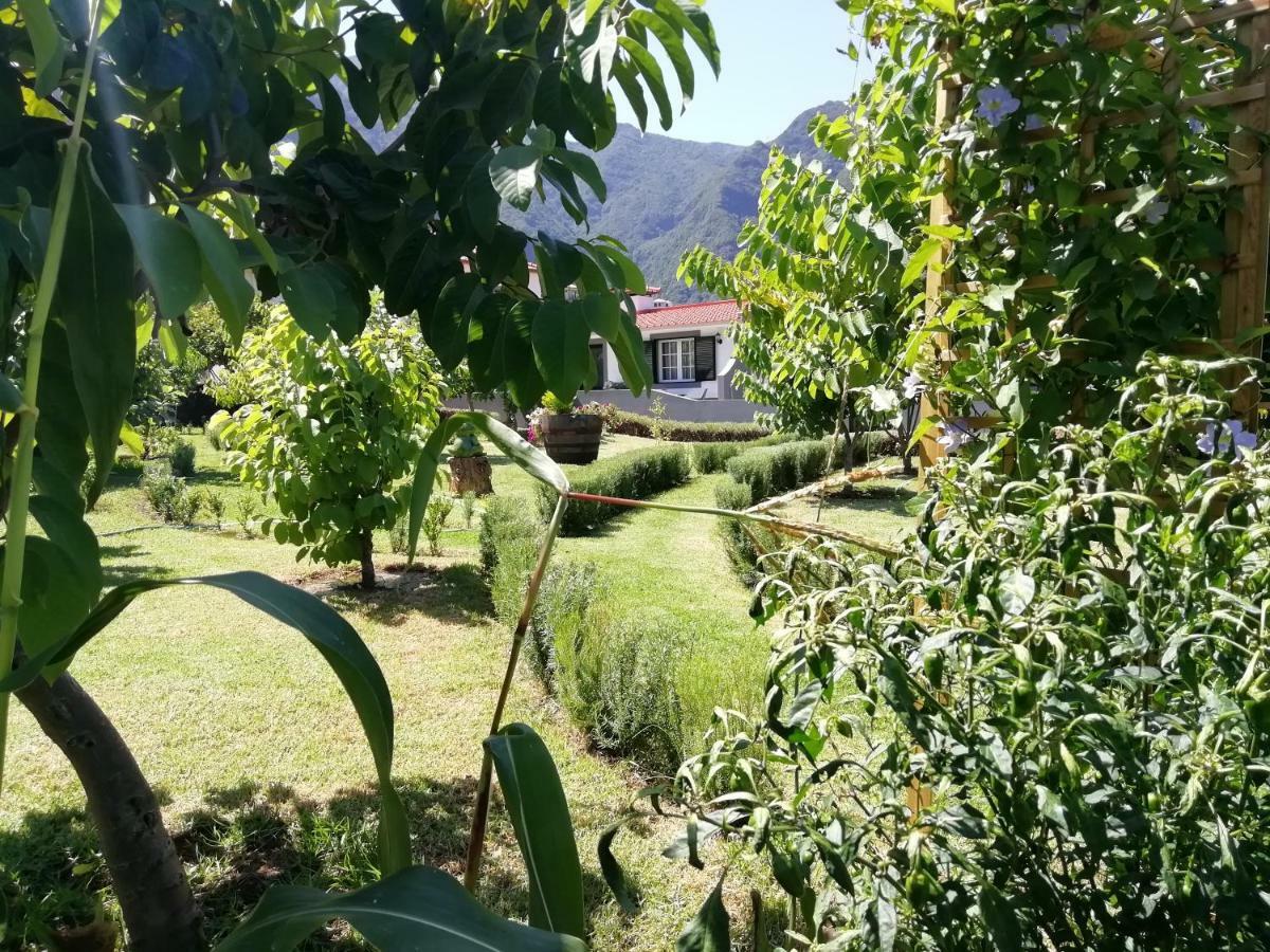 Granny'S Farm Guest House Sao Vicente  Exterior photo