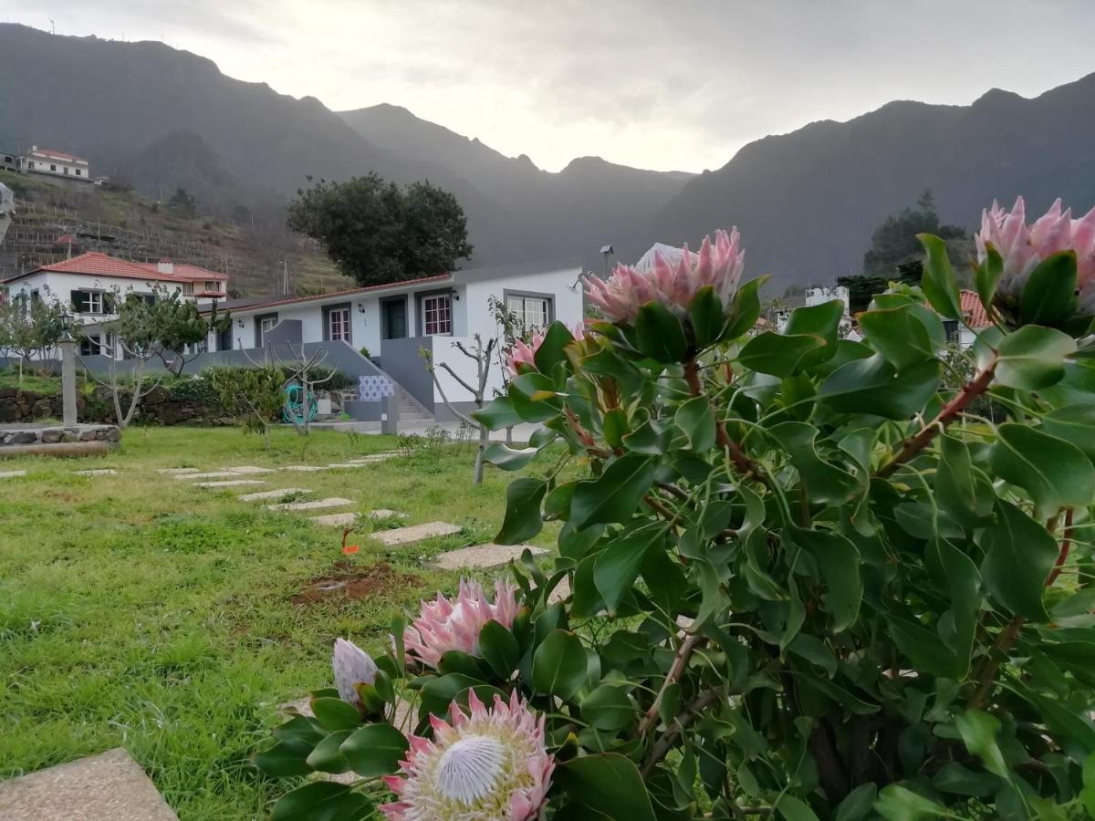 Granny'S Farm Guest House Sao Vicente  Exterior photo